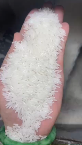 Gạo ST25 SÓC TRĂNG - CƠM DẺO - THƠM - NGỌT - Trực tiếp từ cánh đồng giá tốt đảm bảo chất lượng 100%