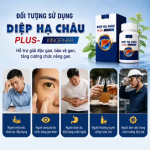 🌿 combo mau 6 tăng 1Diệp Hạ Châu Plus Kingphar – Thảo dược đồng hành cùng lối sống khỏe mạnh
