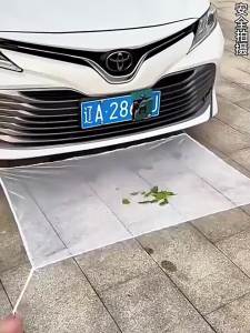 LUKSEN | Insect Protection Radiator Mesh for Cars