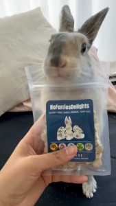 Banana Apple Bites | No Furries Delights | Small Animal & Bird Treats
