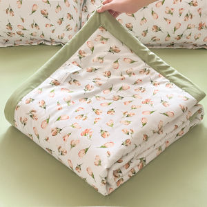 Meiji | Summer Air Conditioning Thin Quilt Washable