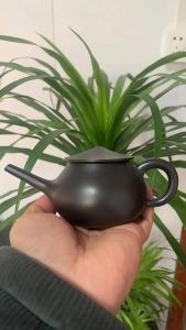 Ấm Tử Sa Nghi Hưng Lão Ngư 160 ml (Hắc Chu Nê)