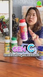เพิ่มปริมาณเซลล์ในช่วงการเจริญเติบโตทุกช่วงอายุพืช ไคโตซานพืช GenC 2 ขวด ผลิตภัณฑ์ดูแลพืชผักสวนครัวให้เจริญเติบโตสมบูรณืต่อเนื่อง ต้านทานโรคและแมลง