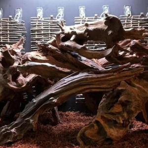 Purple Sapling Climbing Wood for Reptiles And Amphibians Pet Lizards Geckos Turtles Crabs Frogs Snakes Hideout Decoration Cage