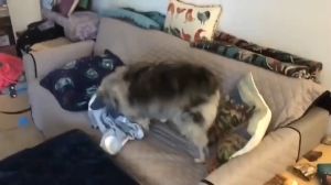 Sofa Cushion Waterproof 1/2/3 Seater L Shape Universal Washable Cushion Slipcover Elastic Cushion Sofa Cover