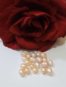 Mutiara air tawar super Lombok