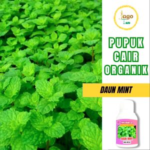 Pupuk Organik Daun Mint Bantu Melebatkan Daun Percepat Masa Tumbuh Tanaman By Jagotani Yogyakarta