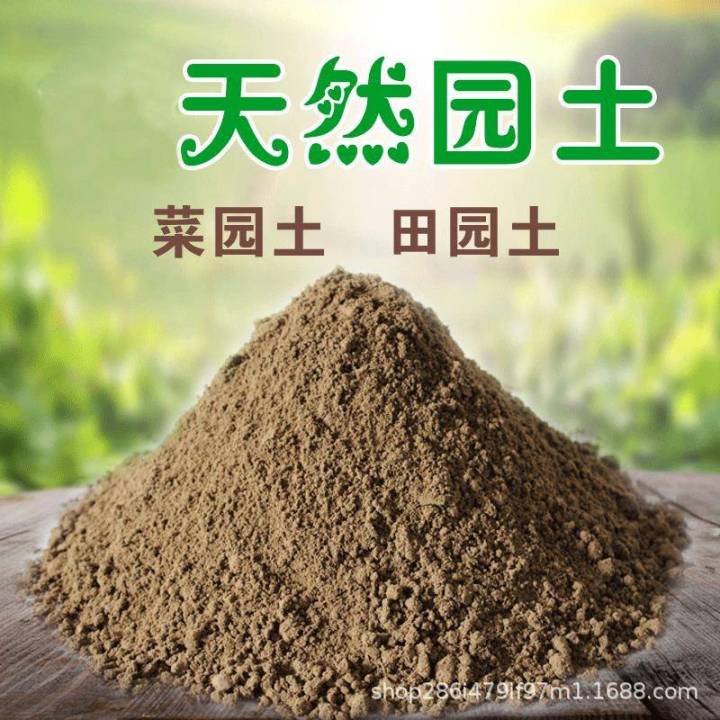 Vegetable Garden Soil Pastoral Soil Bowl Lotus Soil Vegetable Planting