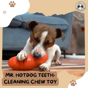 ✅[SG] MR. HOTDOG TEETH-CLEANING CHEW TOY ★ FREE Enrichment Tips & Ideas e-Guide Worth $7 ★ Pet Enrichment ★ SG Stock ★ Kopi Lobang