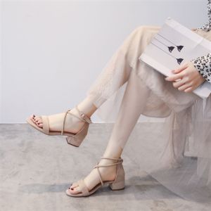 Fashion Sandals Women 2025 New Summer Medium Heel Super Fire with Skirts Internet Celebrity Fairy Style Temperament Thick Heel Buckle