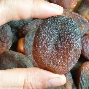 No Additives Pitted Natural Sweet Dried Apricots 250g