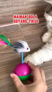Mainan Bola Plastik Tikus Goyang - Mainan Bola Goyang Hewan Peliharaan - Mainan Peliharaan Kucing Anjing - Pet Toys Dog Cat - Bola Bulu Goyang Tikus - Mainan Kucing Bola Tikus Bergerak - Toys Ball - Mainan untuk Hewan Peliharaan Kitten