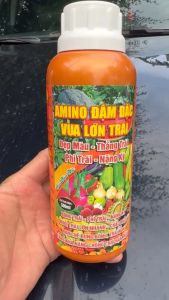 AMINO VUA LỚN TRÁI CHAI 500ML 1 CHAI VÀ 6 VIÊN PHÌ TRÁI DẠNG VIÊN 4G DÙNG CHO 400ML NƯỚC