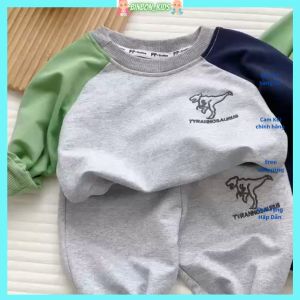 Bộ Nỉ Thêu Khủng Long Cho Bé Trai Bộ Thể Thao Thu Đông Dài Tay Chất Da Cá Cho Bé Từ 10-28kg BINBON KIDS