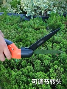 Gunting Taman Ranting Pruning Shear Scissors gunting okulasi grafting sambung tanaman sambung batang cangkok / gunting grafting okulasi / gunting tanaman pemotong ranting serbaguna / gunting bonsai super tajam