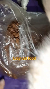 1kg Lucy Cat Food All Stages Adult Kitten High Nutrient Cat Cats Dry Food Pet Essentials