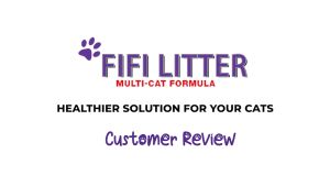 FifiLitter BLUE Fifi Cat Litter (6 BAGS) - UNSCENTED BENTONITE PLUS ACTIVATED CARBON & SILICA 10L/7KG