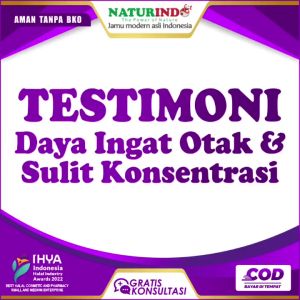 Suplemen Nutrisi Otak Tingkatkan Kecerdasan Daya Ingat Vitamin Otak Anak Cerdas dan Dewasa