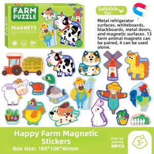 Educational Magnetic Matching Puzzle Toys 2 Pieces