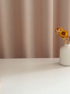 [Miếng lót thấm sữa] Miếng lót chống tràn ORG MAMA siêu thấm