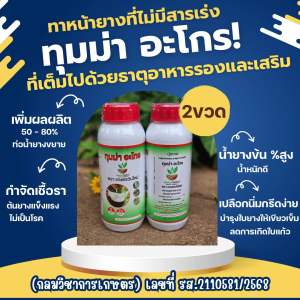 ปุ๋ยน้ำ ทุมม่า อะโกร (2 ขวด) ปุ๋ยทาหน้ายาง เพิ่มผลผลิต สามารถใช้ได้กับพืชทุกชนิด