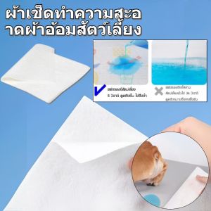แผ่นรองซับปัสสาวะสัตว์เลี้ยง ดูดซับกลิ่น ซึมซับดีเยี่ยม