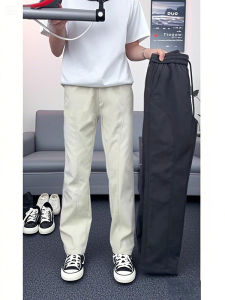 Quick Dry Ice Silk Mens Summer Thin Casual Pants Outdoor Mountain Climbing Trousers Straight Leg Non Ironing All Seasons