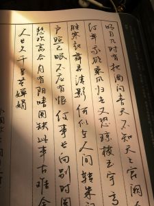 แนะนำสมุดเขียนลายมืออักษรคั่นหนังสำหรับผู้ใหญ่ ลายมืออักษรสไตล์ต้นราชวงศ์ บทกวียุคราชวงศ์ตงและซ่ง อุปกรณ์ศึกษาสำหรับวัย 18-65 ปี