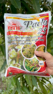 Phân Bón VL NNV16 PACLO 25 – Xử Lý Ra Hoa Theo Ý Muốn - Ức Chế Sinh Trưởng Chồi Ngọn Thúc Đẩy Phân Hóa Mầm Hoa Bung Hoa Đồng Loạt (Gói 1Kg)