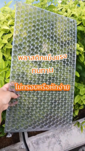 ถาดเพาะกล้านาโยน แพ็ค 434 หลุม เกรด A ถาดนาโยน ถาดเพาะกล้า ถาดเพาะต้นข้าว ถาดเพาะนาโยน เพาะกล้าข้าว ถาดเพาะกล้า ถาดเพาะกล้านาโยน ถาดเพาะข้าว 434 หลุม เกรดA