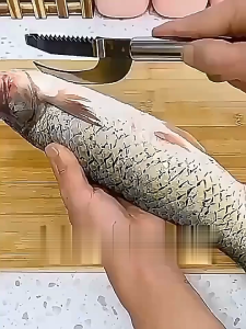 Alat Pemotong Ikan / Pembersih Sisik Praktis / Parutan Sisik Ikan / Pisau Ikan