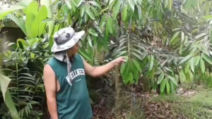 💥ส่งฟรี💥 ปุ๋ยน้ำลาวา 20 ขวด ปริมาณขวดละ 500 ซีซี