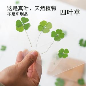 Lucky Four Leaf Clover Acrylic Tear Sticker Natural Wish Card Bookmark Graduation Gift  Style Single Page Festive Supplies