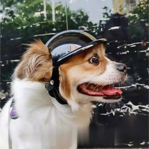 HamshMoc Protective Dog Helmet Ventilated Ear Open Shock Absorbing Padding Hook and Loop Strap for Outdoor Safety