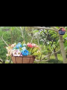 Coconut Palm Metal Hanging Flower Plant Pot Basket Hanger Garden Balcony Decoration Pasu Gantung Sabut Kelapa