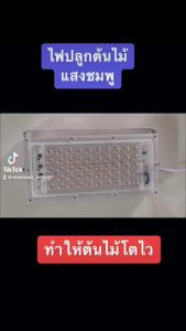 ไฟปลูกต้นไม้ LED Grow Light 50W โคมไฟปลูกต้นไม้ ไฟปลูกพืช ไฟเลี้ยงต้นไม้ ช่วยการเจริญเติบโต LED Indoor Grow Light พร้อมสวิตช์เปิดปิดสายยาว 1.5ม.