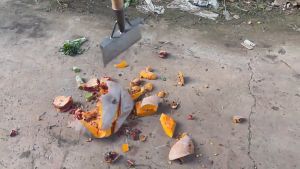 แข็งแรงและทนทาน พลั่วแซะหญ้า จอบเล็กถากหญ้า พลั่ว จอบดายหญ้าคมๆ เสียมแซะหญ้า เครื่องมือทำสวน ทำความสะอาดถน ทำความสะอาดปศูสัตว์ พลั่วเหล็ก หัวพลั่ว เสียมหน้าแบน เสียมแซะหญ้า พลั่ว ทำความสะอาดอเนกประสงค์