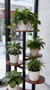 5-Tier Corner Plant Stand Rustic Wood & Metal Flower Shelf for Indoor Home Decor