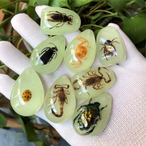 กล่องสัตว์ป่าแสงกลางคืนแบบบลูทูธ กล่องบรรจุภัณฑ์สัตว์ป่าแท้ในยีราฟ เครื่องประดับตกแต่งหินอะเกตแบบฝังเพชร ของเล่นสำหรับเด็ก