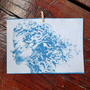 12 Tờ Giấy In Cyanotype Khổ A4 A5 A6 Dùng Để In Ảnh Tự Nhiên Dành Cho Các Dự Án Tự Làm Ngoài Trời Thủ Công Mỹ Nghệ