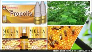 Melia Propolis Original 1 Botol Kemasan 6ml