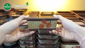 Pot Keramik Bonsai Segi Empat Mini Mame