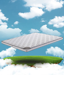 FANMEIDENG | Eco-friendly & Healthy Coconut Fiber Mattress Medium Firmness