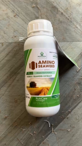 Amino Seaweed Extract 500ml – Axit Fulvic + Amino Hỗ Trợ Phát Triển Rễ Dưỡng Lá Nuôi Trái Lớn Bóng Vỏ