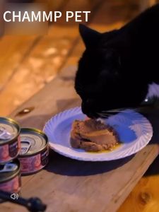 24 pcs Cat Canned Food 375g Cat Wet Food Cat Pet CAT&DOG pure natural organic meat paste canned food cat food