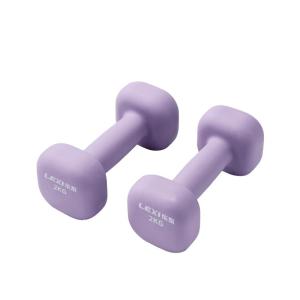 LEXI | Home Fitness Solid Dumbbells