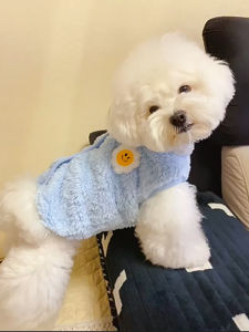 Autumn and Winter Clothing Pet Dog Clothes Thickened Vest Cat Teddy Bichon Pomeranian Small Puppies VIP Schnauzer