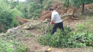 Reaim 12 Inch Gergaji Mesin Kayu Listrik Lithium: Panduan Lengkap