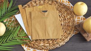 100pcs Water-Resistant Paper Fruit Bags with Twist Tie and Vent Holes for Mango Pear Fruit and Vegetable Protection