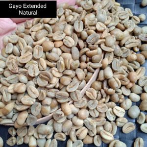 Green Bean Arabika Gayo Anaerob Natural